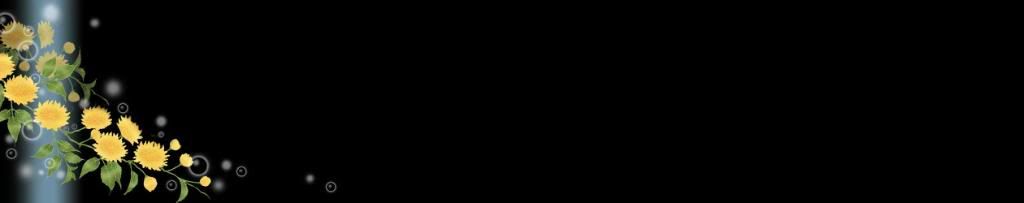 lozocat