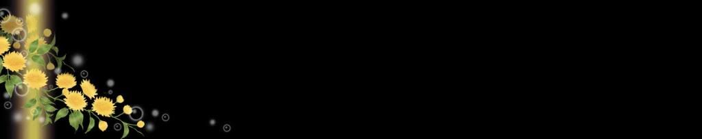 lozocat