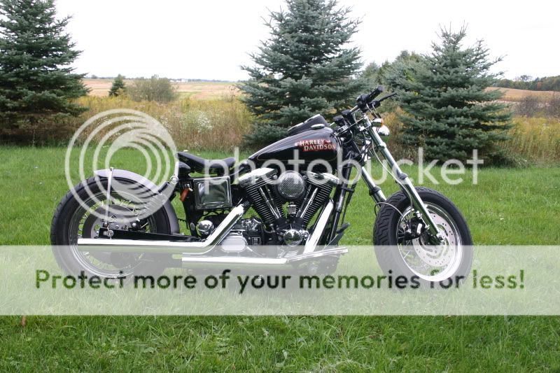 My custom Dyna bobber Harley Davidson Forums